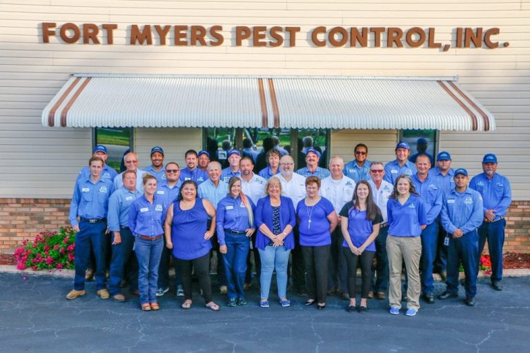 Termite Prevention Tips & Measures Fort Myers Pest Control